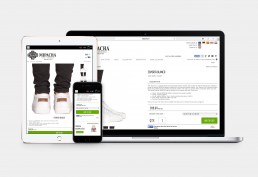 Lightspeed-eCom-Responsive Store2-dollar-en