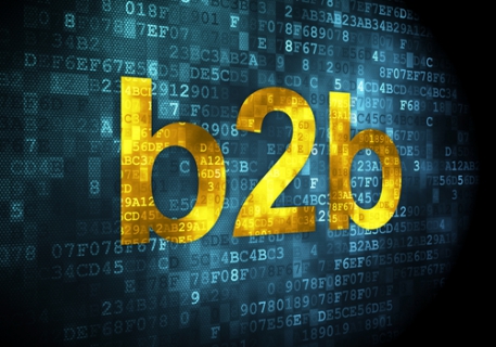 The B2B Impact of SEPA
