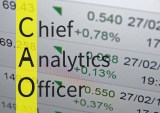 Chief Analyrics Officer