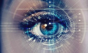 Eyeprinting Biometrics