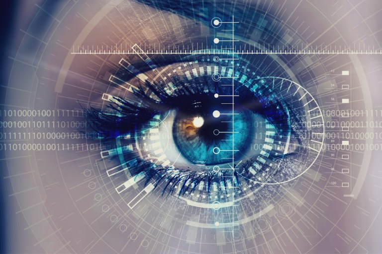 Eyeprinting Biometrics