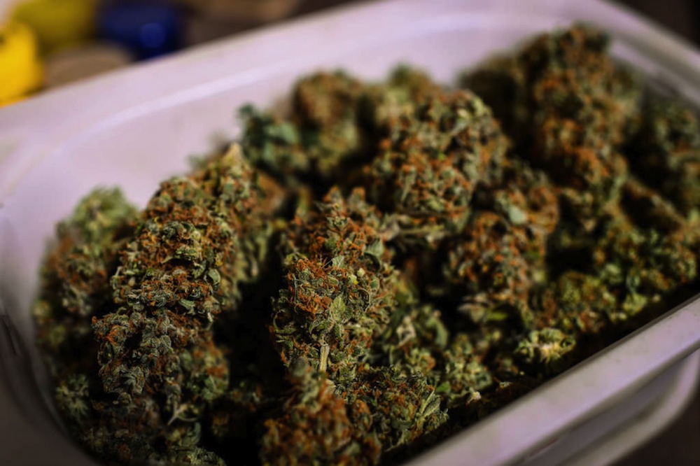 Potcoin Crashes One Day After 97 Percent Surge