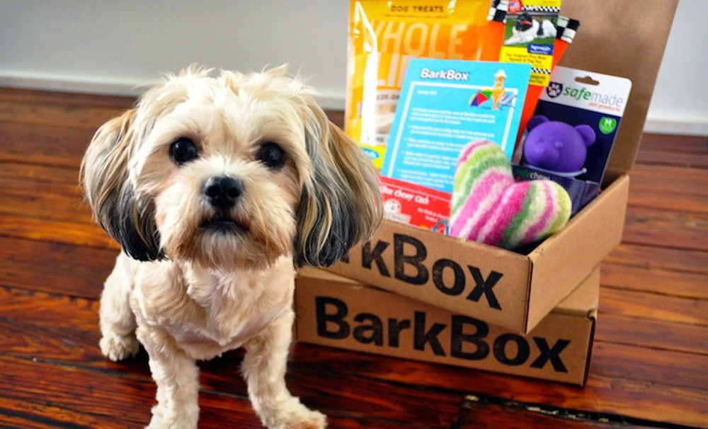 Is Amazon On The Way To Becoming Subscription Commerce’s New Hub?