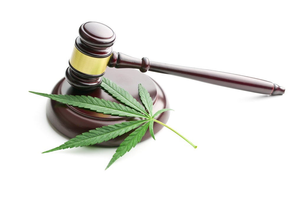 Treasury Sec. Says Pot Companies Should Be Banked  