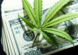 cannabis cash