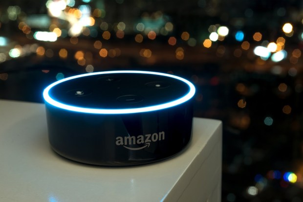 Amazon Alexa Skills Saw Huge Growth In 2018