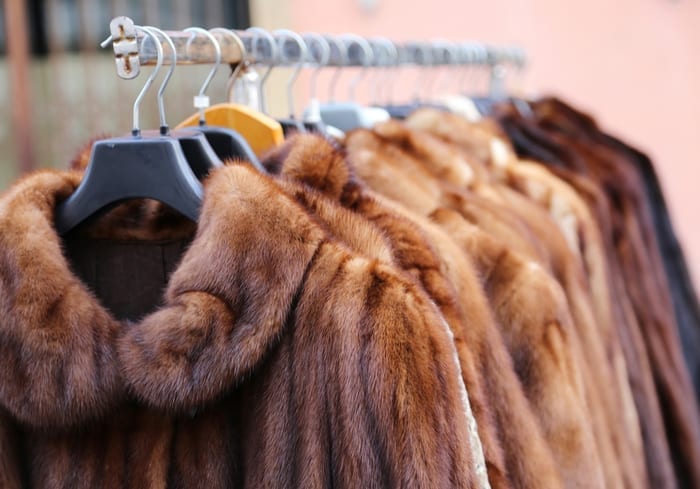 fur apparel