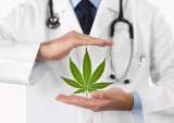 doctor with marijuana leaf