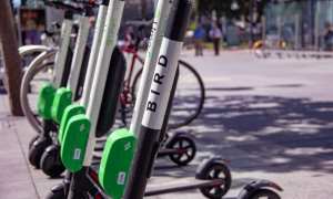 Bird electric scooters