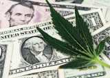 marijuana leaf with cash