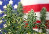 Regulators Detail Banking Rules For Hemp Firms