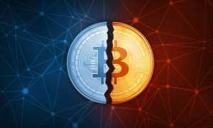 bitcoin daily, hack victims, bermuda, blockchain, new york supreme court, cryptocurrency