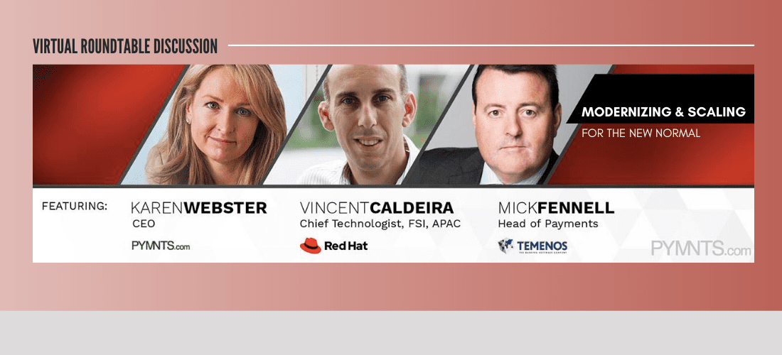 Digesting The Payments Modernization ‘Elephant’ — Bite By Byte