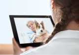 How Telemedicine Is Going To The Dogs