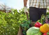 farmer with produce