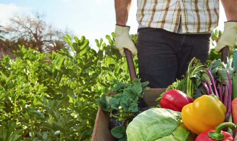 farmer with produce