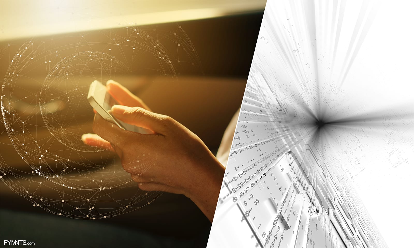 Radius Bank: Becoming Partners In Crime Prevention Can Help FIs Beat Fraud Rings