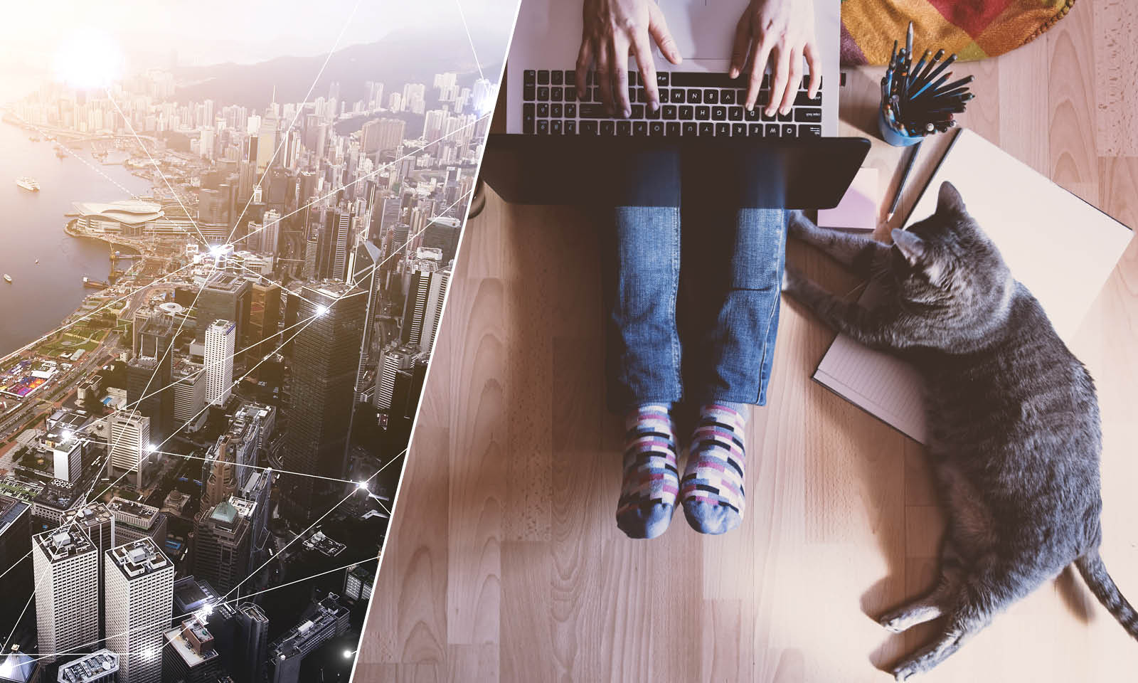 New Data: How Online Merchants Build Consumer Trust In The Digital 3.0 Economy