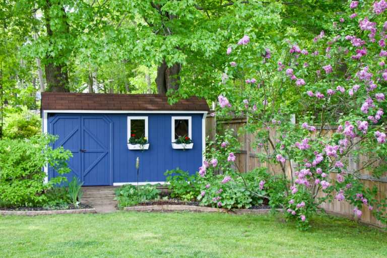 backyard shed