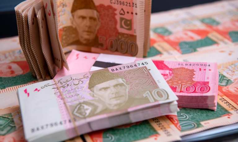 Pakistan currency