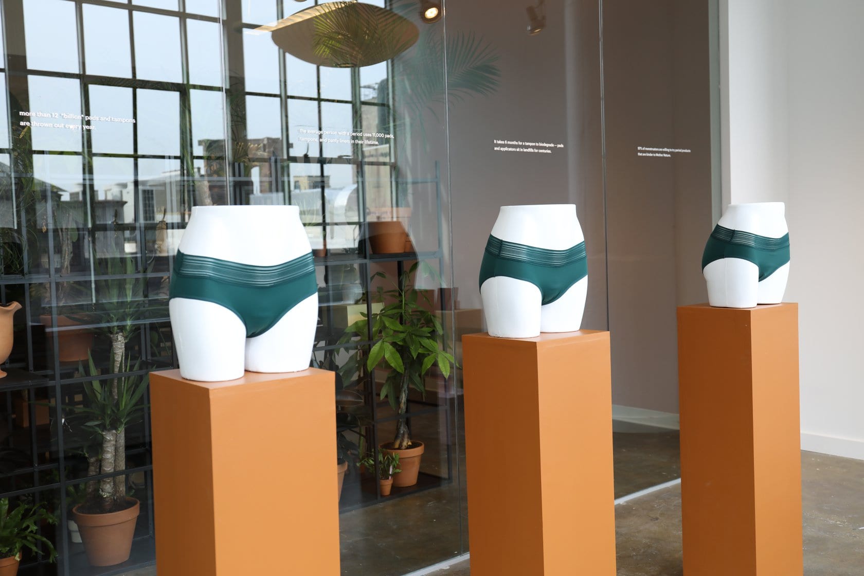 How BNPL Plans Can Help Bring Premium Feminine Care Products To Cash- Strapped Shoppers