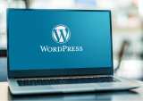 LoginID Launches WordPress Plugin