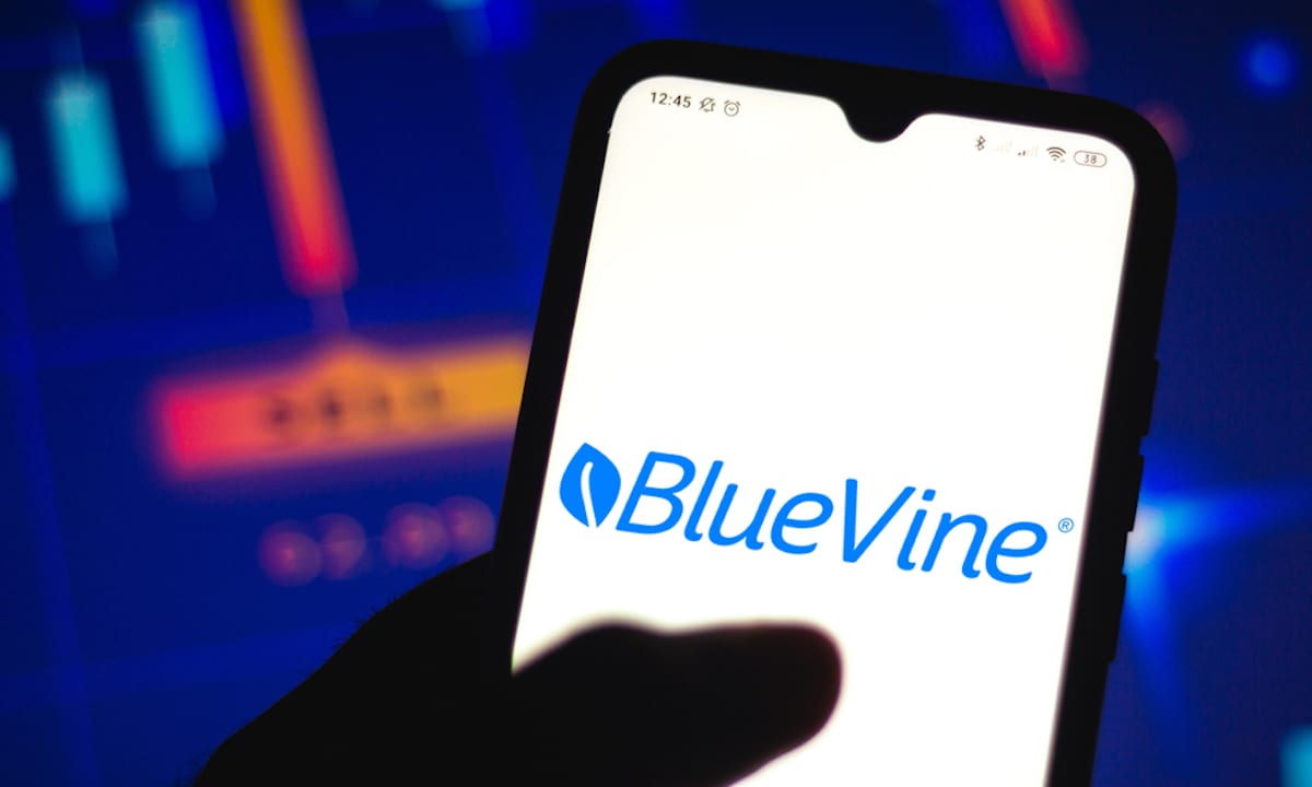 House Committee Asks Kabbage, BlueVine For Pandemic Loan Security, Revenue Data