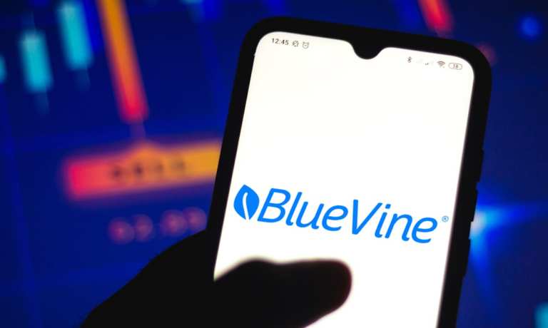 BlueVine, CFO, David Quinn, executives, spend management, SMBs, financial services, loans