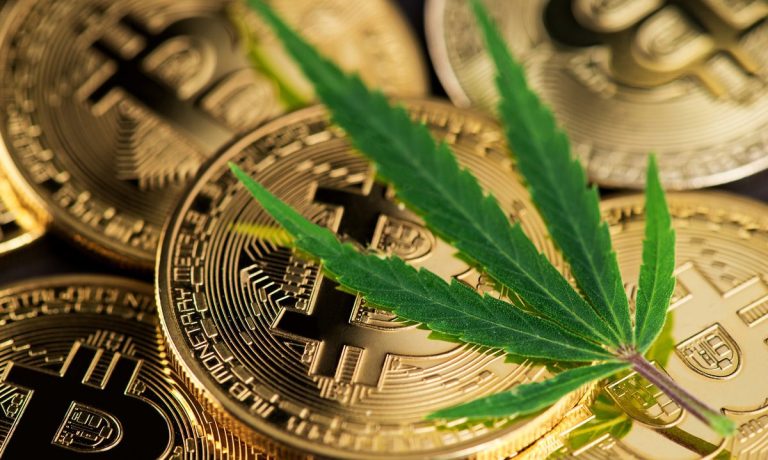 RocketFuel Opens Crypto One-Click Pay To Cannabis