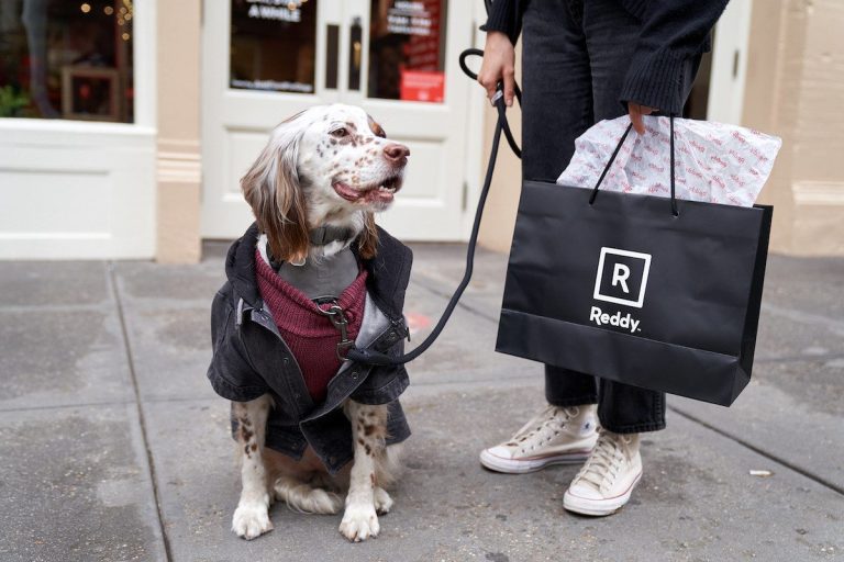 Petco, Reddy, NYC, soho, dogs