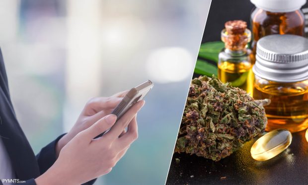 Digital ID, Biometrics Help Marijuana Dispensaries Tackle Automated Vending Compliance