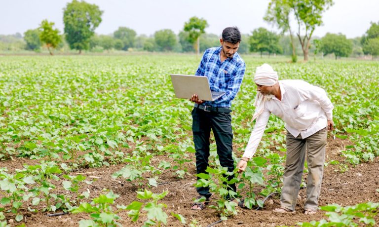 Agrim, B2B, AgriTech, India