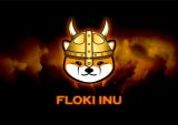 Floki Inu, advertising, regulations