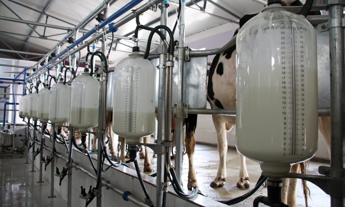 Milk Moovement, delivery, milk, perishables, data