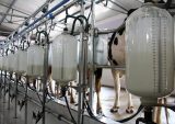 Milk Moovement, delivery, milk, perishables, data