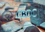 digital dollar project, CBDC, technical sandbox,