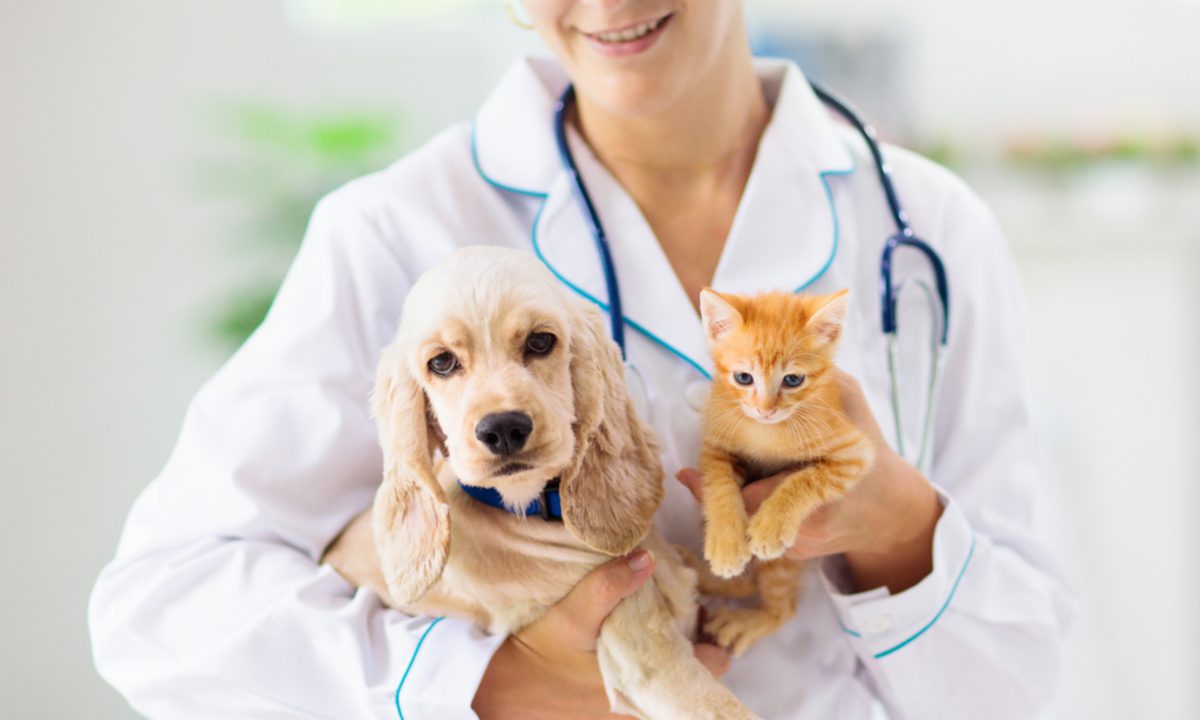 Scratch Gets $35M Funding Toward ‘Care Now, Pay Later’ Patient Financing