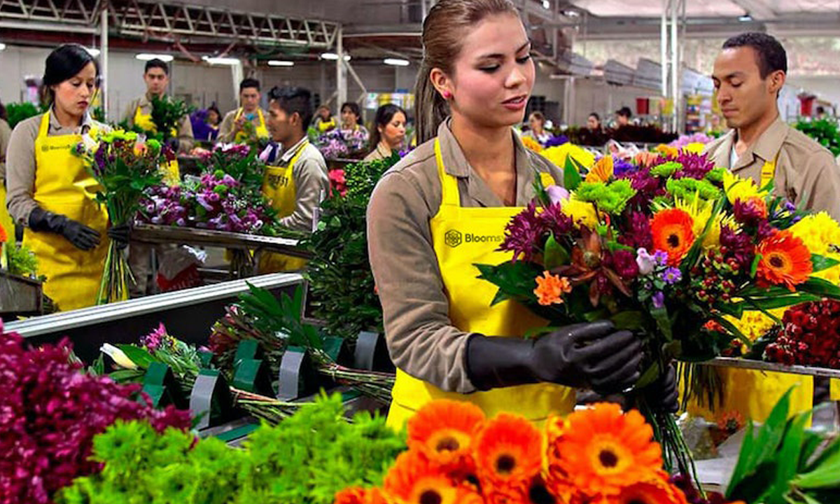 BloomsyBox Turns Flower Subscriptions Into an Essential Consumer Purchase