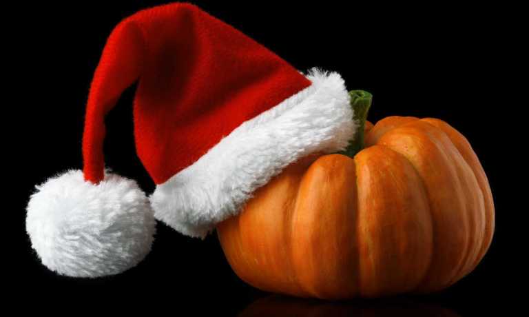 santa hat, pumpkin