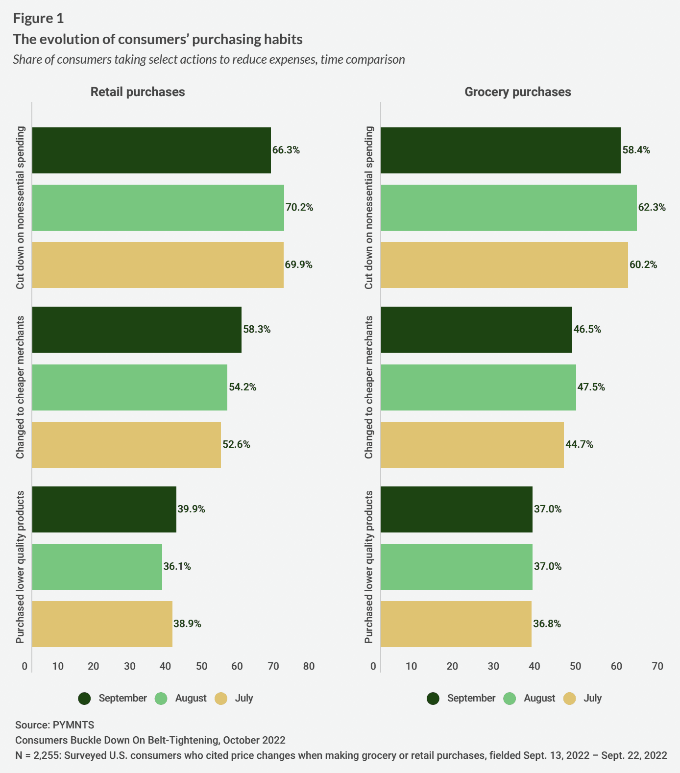 consumer purchasing