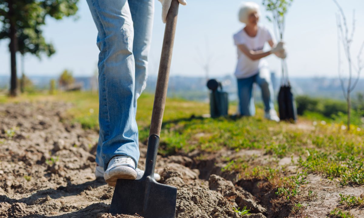 Swiping Right on Personalization: How an Ex-Tinder CEO Is Growing an Online Nursery Business 