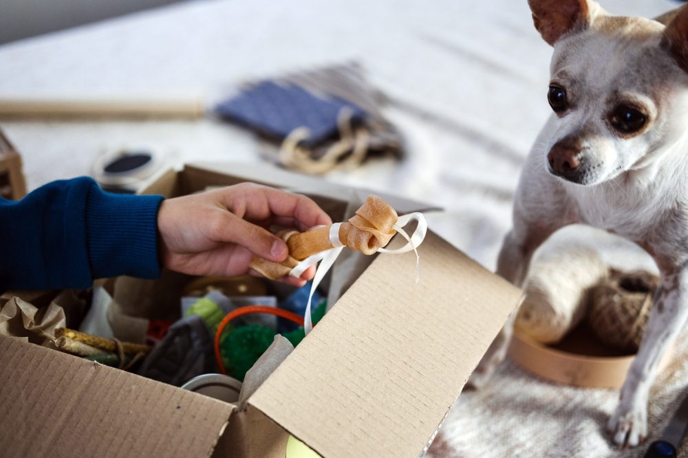 Retail Subscription Features Help Woo Consumer Engagement