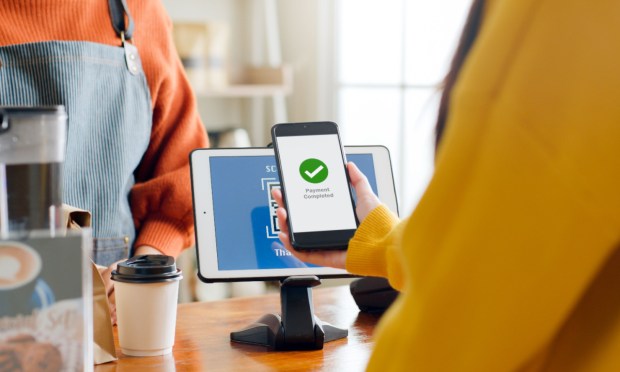 30% of Consumers Swap Instant for Slower Payments to Avoid Fees