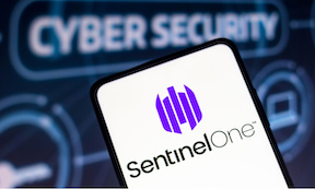 SentinelOne CEO Dismisses Acquisition Rumors