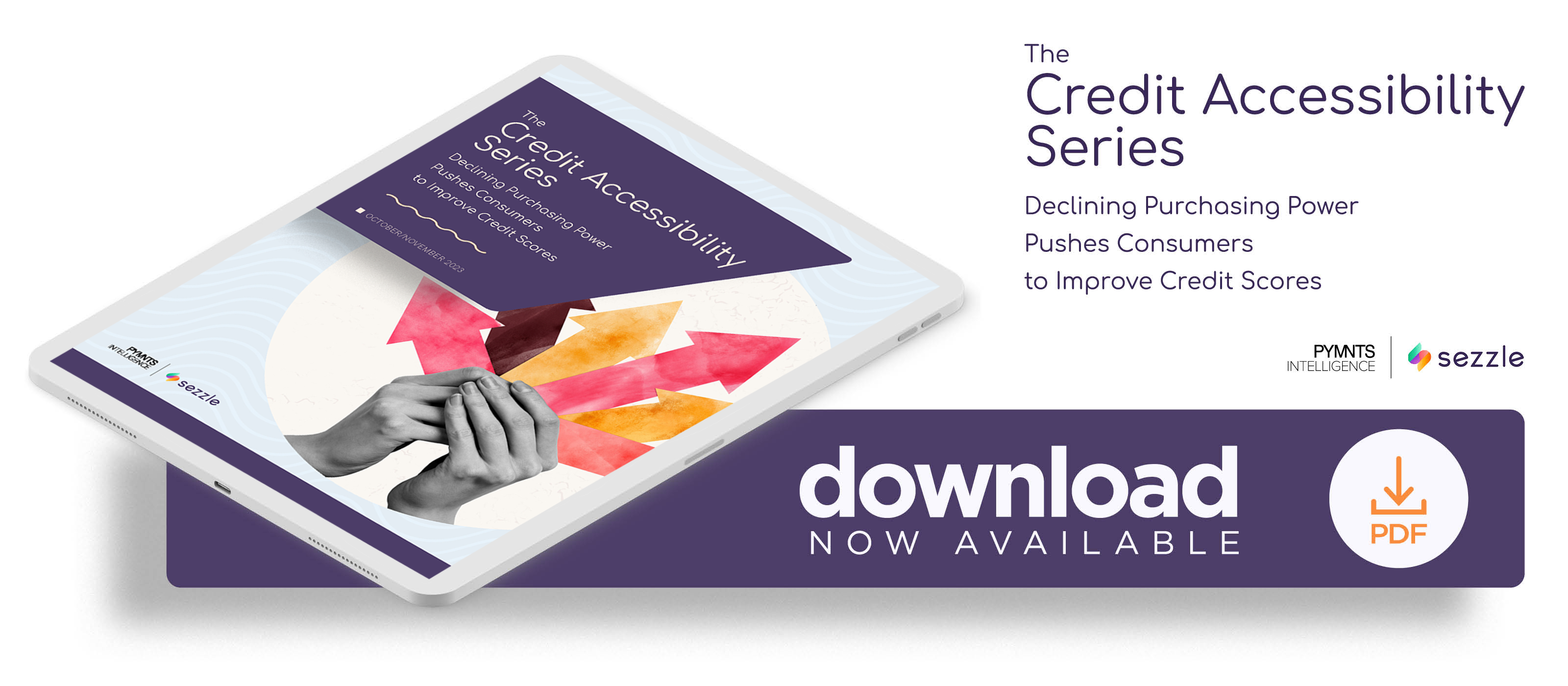 With increasing inflation and prices leading to increasing credit card debt, improving credit scores is necessary for all consumers — and many tools can help.