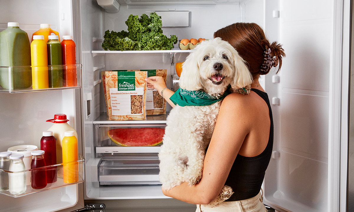 Freshpet Wants Scout to Be Pet Parents’ AI Copilot
