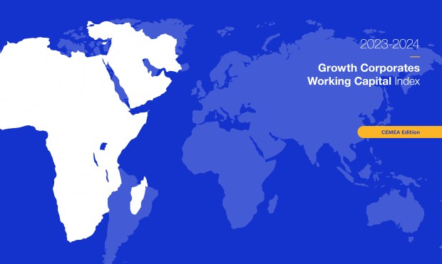 Working Capital Index Finds Central Europe and EMEA Ripe for Growth