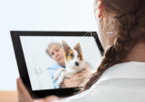 pet telehealth