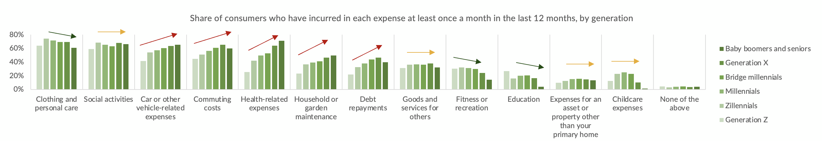 Share of consumers who have incurred in each expense by generation