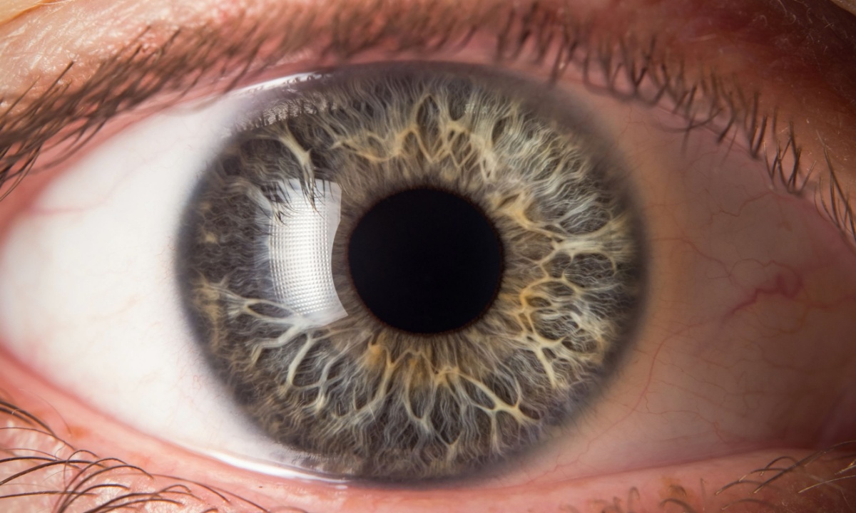 Worldcoin’s Iris-Scanning Tech Faces Global Pushback
